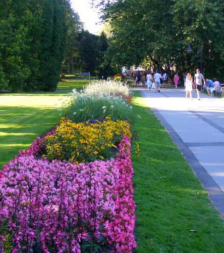 Dr. Schulhof Vilmos Promenade